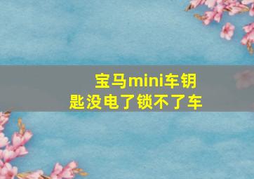 宝马mini车钥匙没电了锁不了车