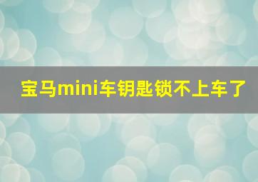 宝马mini车钥匙锁不上车了