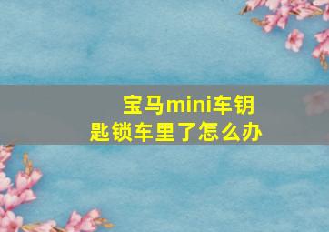 宝马mini车钥匙锁车里了怎么办