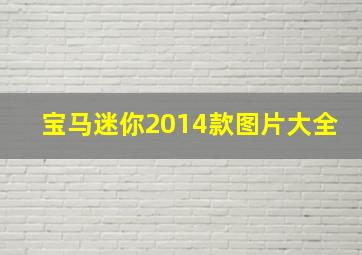 宝马迷你2014款图片大全