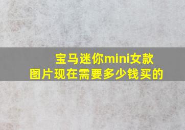 宝马迷你mini女款图片现在需要多少钱买的