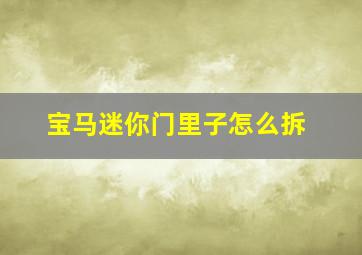 宝马迷你门里子怎么拆