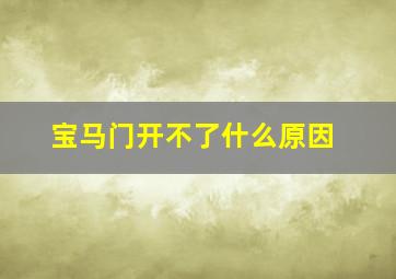 宝马门开不了什么原因