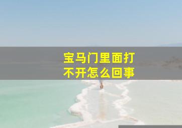 宝马门里面打不开怎么回事