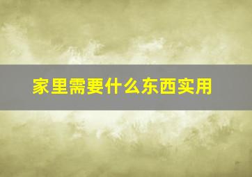 家里需要什么东西实用