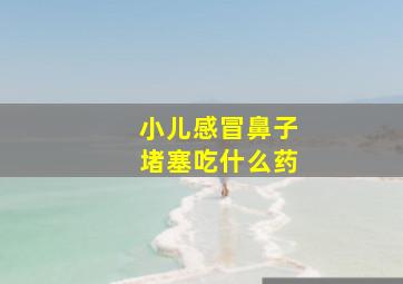 小儿感冒鼻子堵塞吃什么药