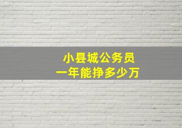 小县城公务员一年能挣多少万