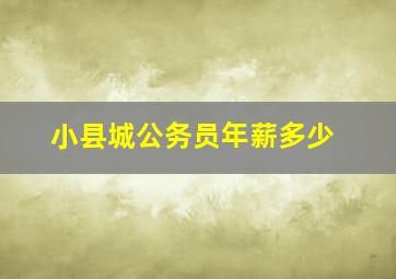 小县城公务员年薪多少