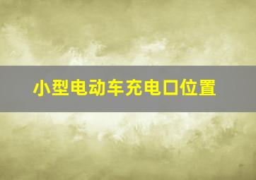 小型电动车充电口位置