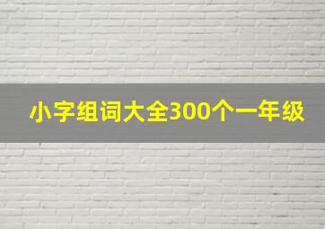 小字组词大全300个一年级