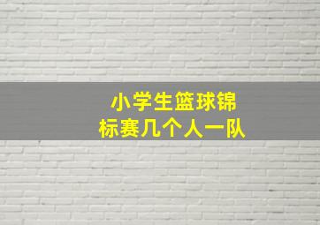 小学生篮球锦标赛几个人一队