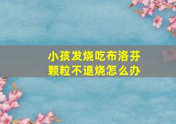 小孩发烧吃布洛芬颗粒不退烧怎么办