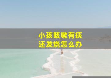 小孩咳嗽有痰还发烧怎么办