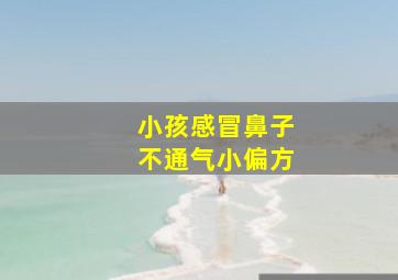 小孩感冒鼻子不通气小偏方