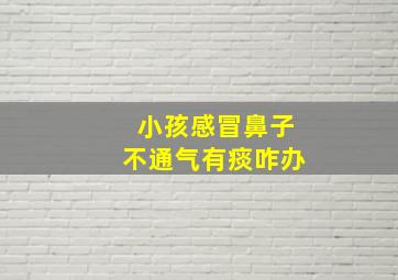 小孩感冒鼻子不通气有痰咋办