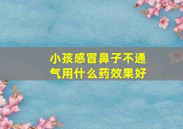 小孩感冒鼻子不通气用什么药效果好