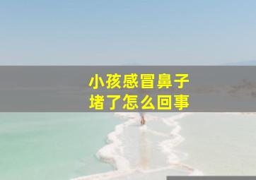 小孩感冒鼻子堵了怎么回事