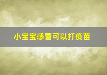 小宝宝感冒可以打疫苗