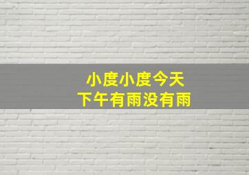 小度小度今天下午有雨没有雨