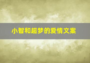 小智和超梦的爱情文案