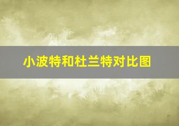 小波特和杜兰特对比图