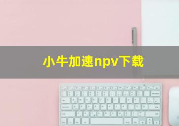 小牛加速npv下载