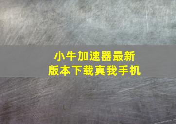 小牛加速器最新版本下载真我手机