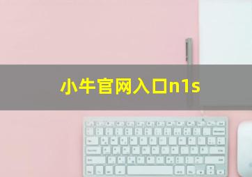 小牛官网入口n1s