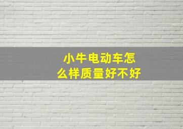 小牛电动车怎么样质量好不好