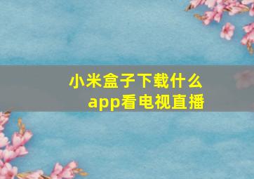 小米盒子下载什么app看电视直播