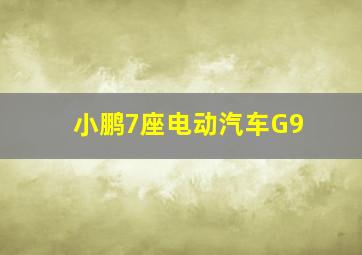 小鹏7座电动汽车G9