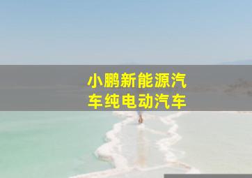 小鹏新能源汽车纯电动汽车