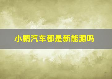 小鹏汽车都是新能源吗