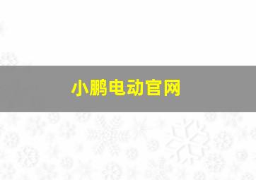 小鹏电动官网