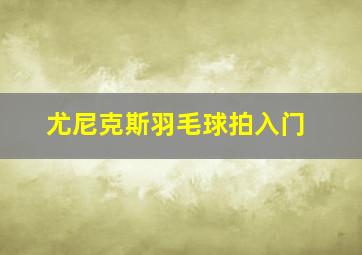 尤尼克斯羽毛球拍入门