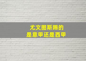 尤文图斯踢的是意甲还是西甲