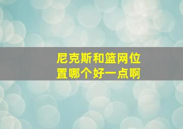 尼克斯和篮网位置哪个好一点啊