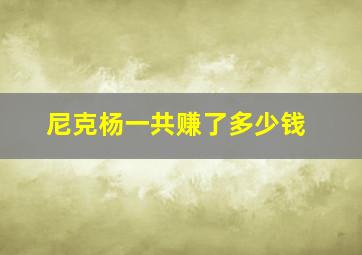 尼克杨一共赚了多少钱