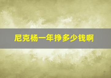 尼克杨一年挣多少钱啊