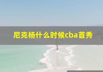 尼克杨什么时候cba首秀