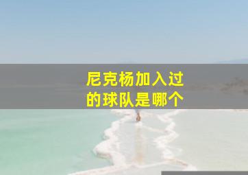 尼克杨加入过的球队是哪个