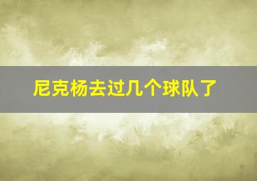 尼克杨去过几个球队了