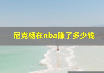 尼克杨在nba赚了多少钱