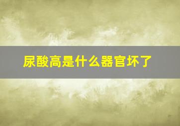 尿酸高是什么器官坏了