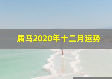 属马2020年十二月运势