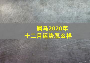 属马2020年十二月运势怎么样