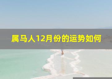 属马人12月份的运势如何