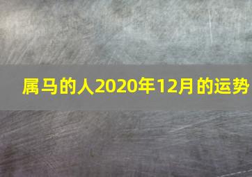 属马的人2020年12月的运势