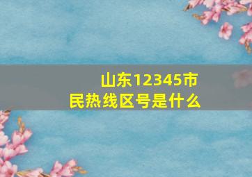 山东12345市民热线区号是什么