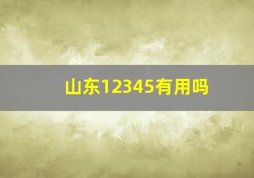 山东12345有用吗